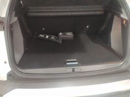 
										Peugeot 2008 1.2 100 CV Active full									